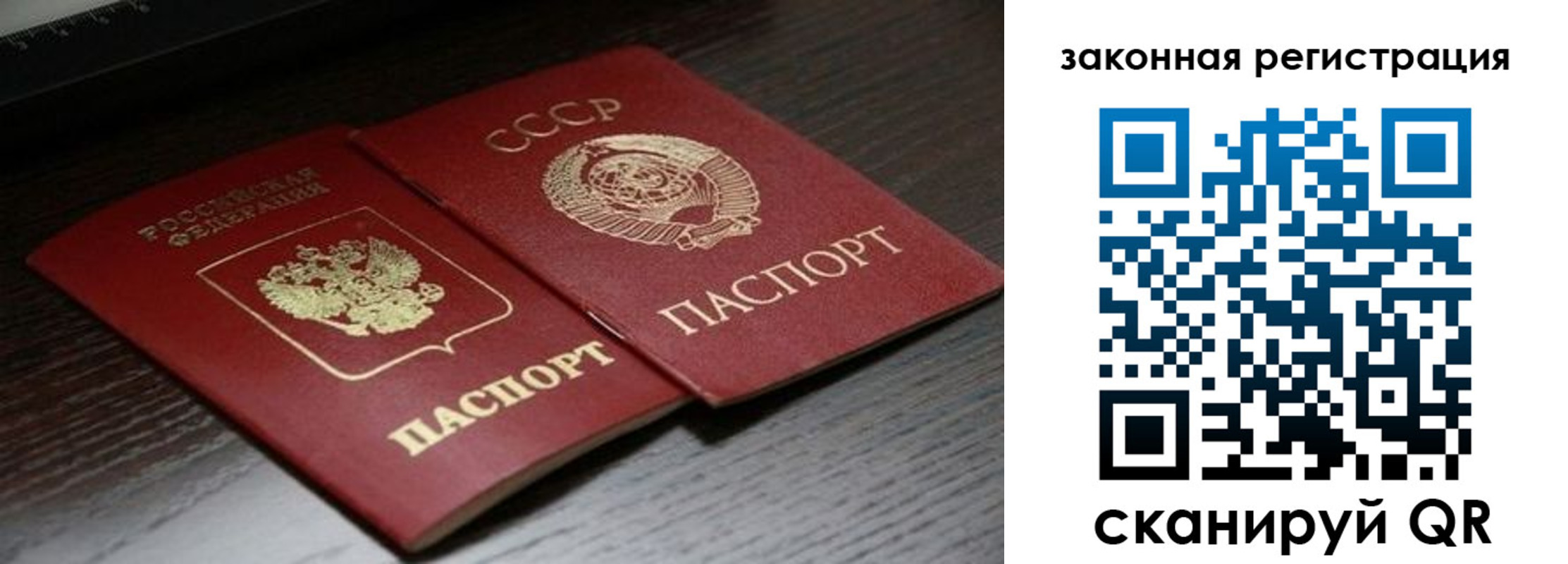 прописка поиск в Бавлах